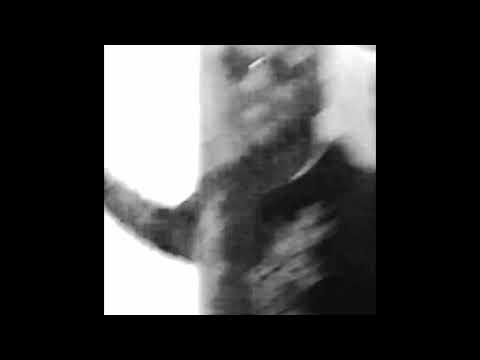 Tunes - 1