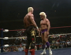 Sting Best matches - 1