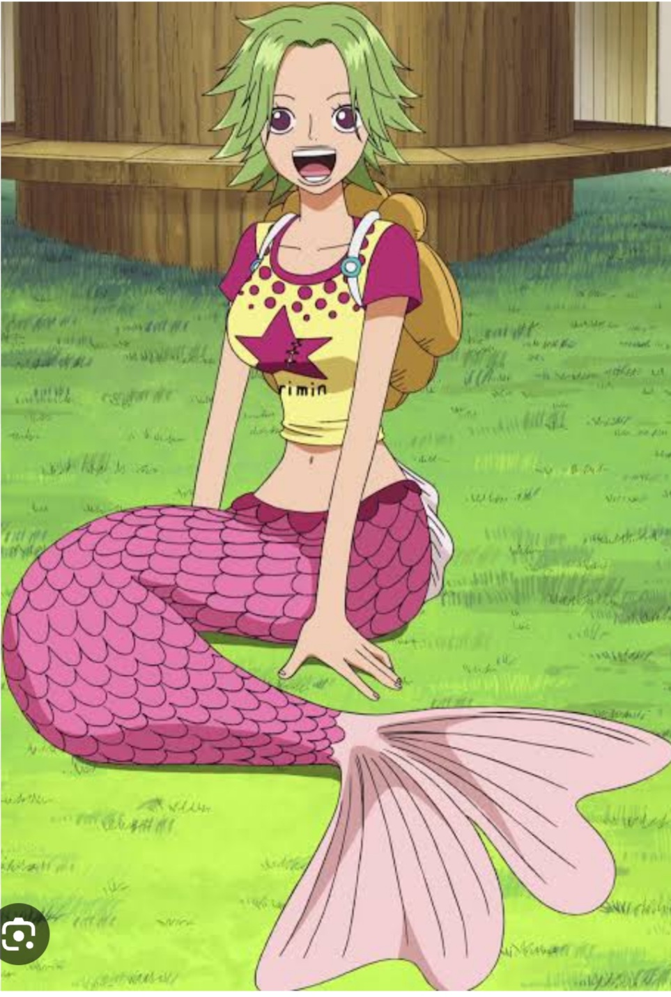 One piece mermaids - 2