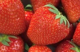 Fruits - 1