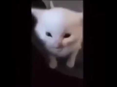 lol - 1