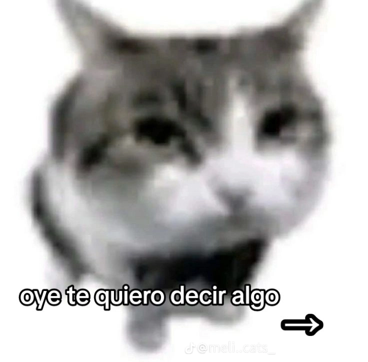 PATATA - 1