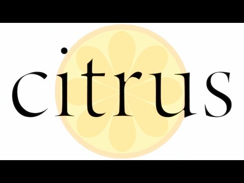 anime openings that is not shown enough - 2
