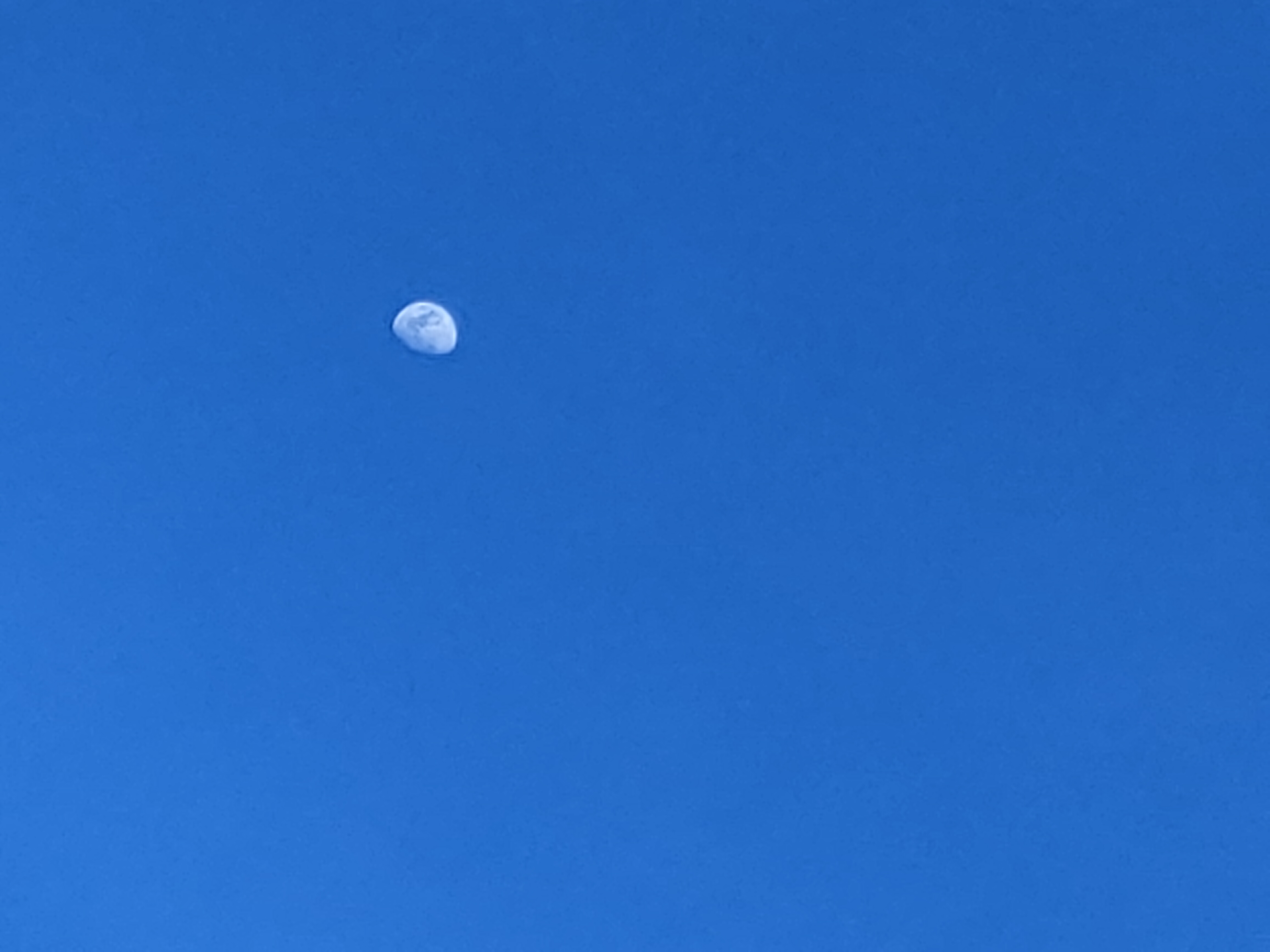 whatpicyoulike? - 1