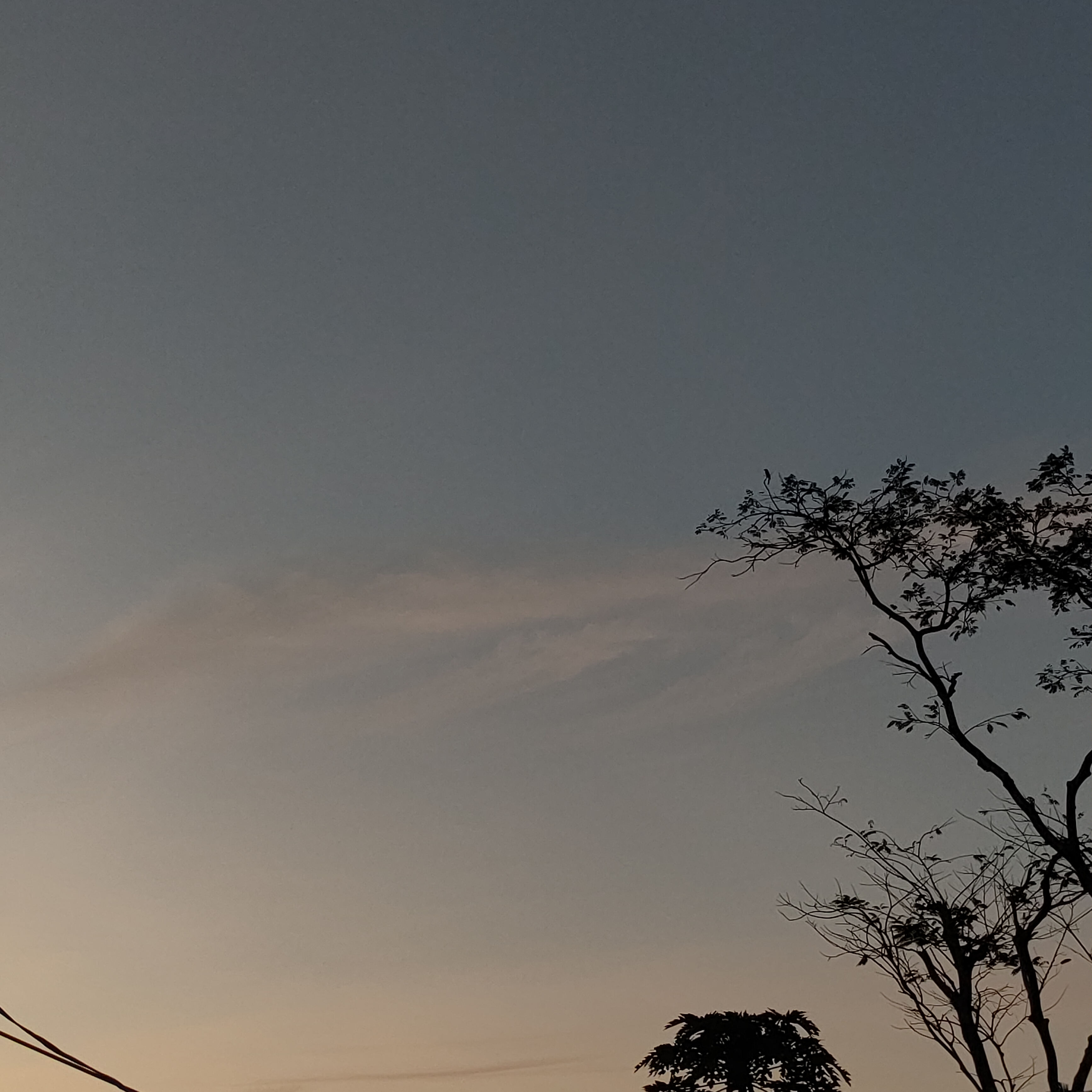 whatpicyoulike? - 2