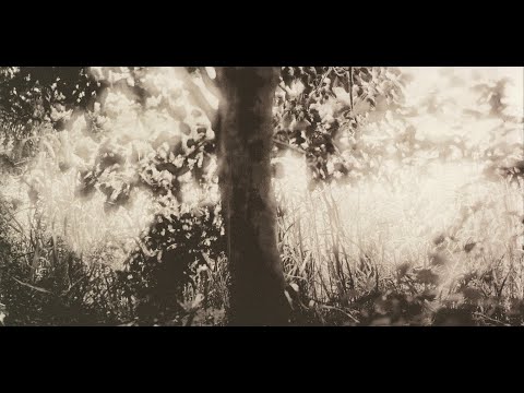 Mansão Ubuyashiki - 2
