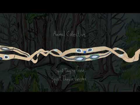 Best Animal Collective Song - 1