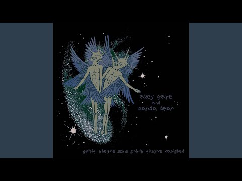 Best Animal Collective Song - 2