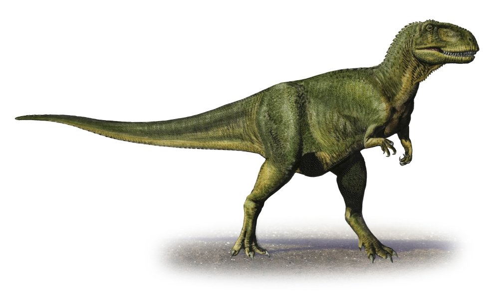 Dinosaurs - 2