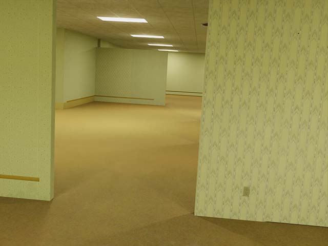 Backrooms - 1