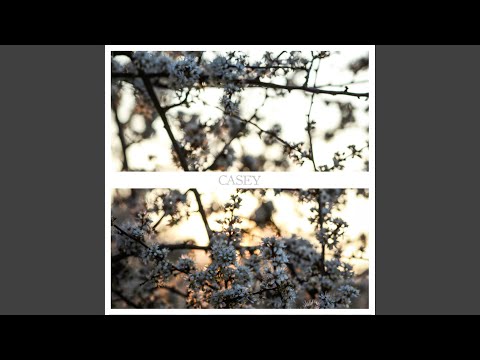 best casey songs - 1