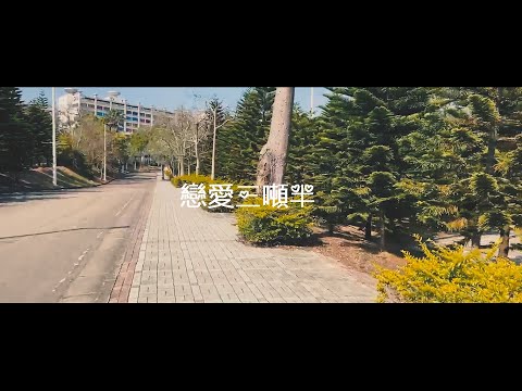 配對豚的最愛 - 2