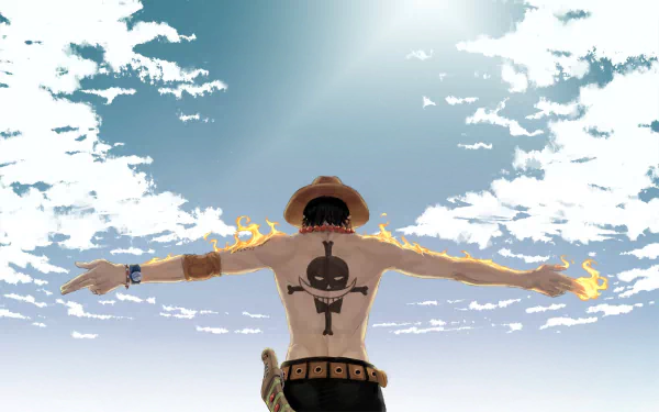 cup one piece - 2