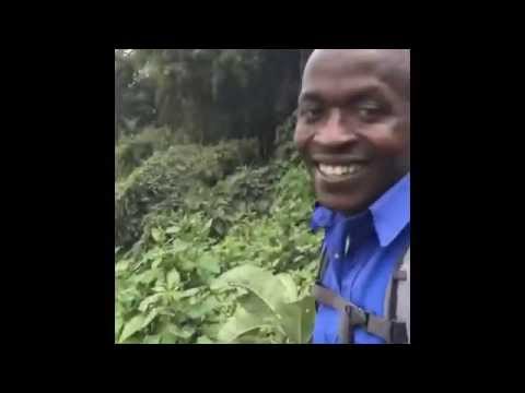memes - 2