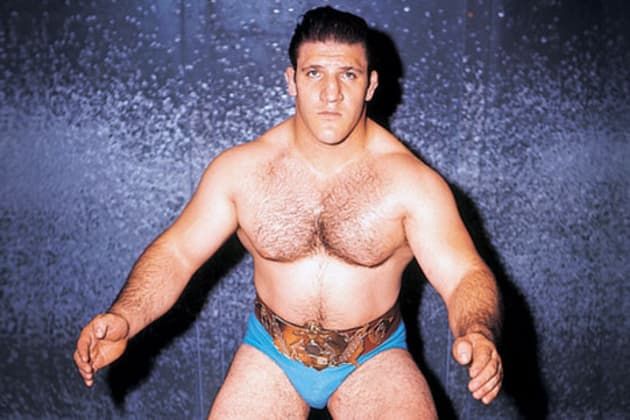 The best wwe champions - 2