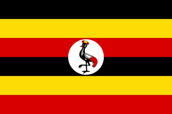 best flag - 2
