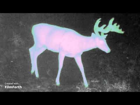 2novmbrs songs - 2