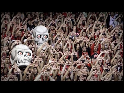 torcidas do brasil - 2