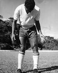 Brasilian goat - 1