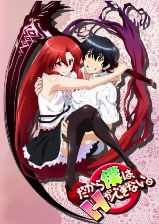 Miglior componente romance negli anime - 1