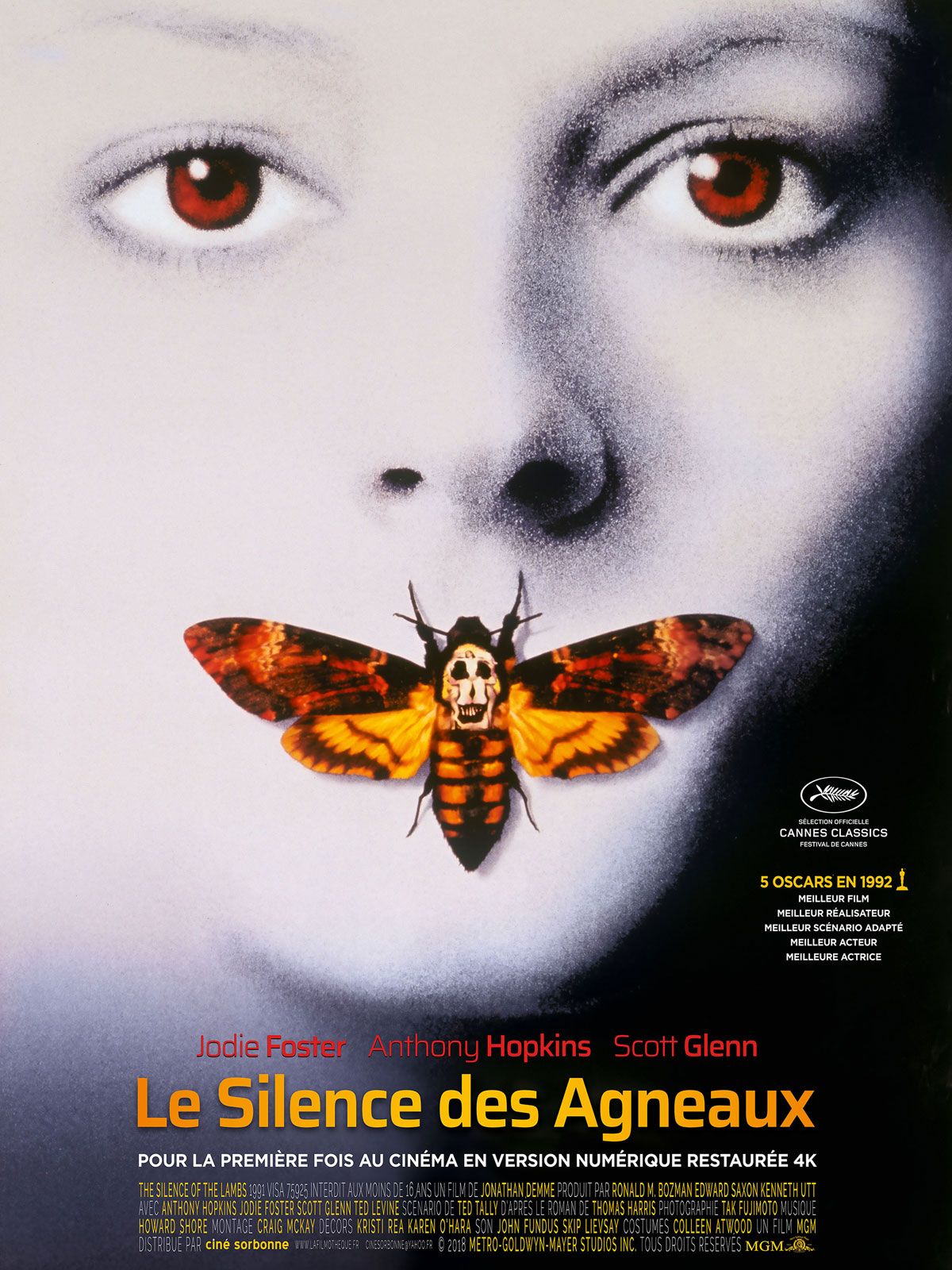 TOURNOI 32 FILMS D'HORREUR CULTE - 2