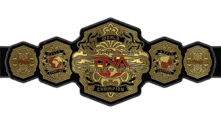 TNA Title History  - 1