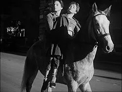 MIGLIOR ANIMALE DELLA STORIA DEL CINEMA - 2