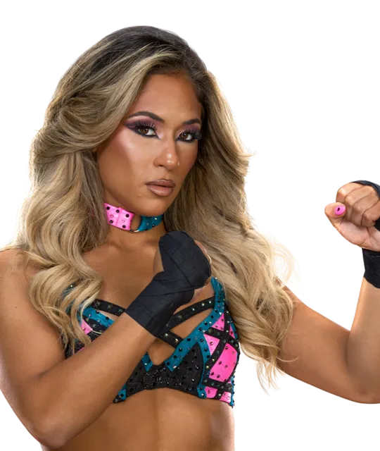 Who would you rather see win the 2026 Women's Money in the Bank LAdder Match? - 2